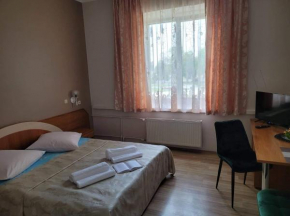 Bezirk Kaunas